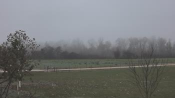 Weather camera view of Long Acres Ranch.