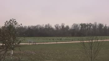 Weather camera view of Long Acres Ranch.