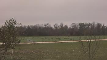 Weather camera view of Long Acres Ranch.