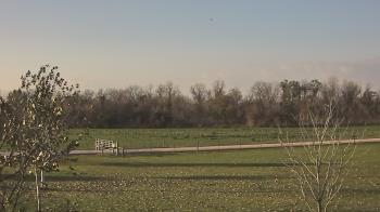 Weather camera view of Long Acres Ranch.