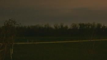 Weather camera view of Long Acres Ranch.