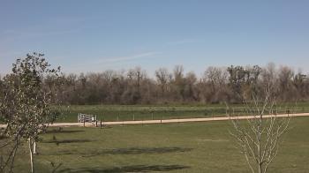 Weather camera view of Long Acres Ranch.