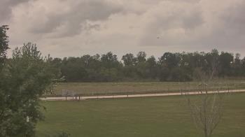 Weather camera view of Long Acres Ranch.