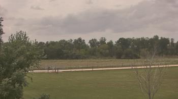 Weather camera view of Long Acres Ranch.