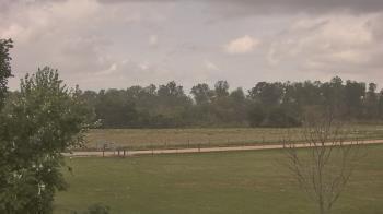 Weather camera view of Long Acres Ranch.