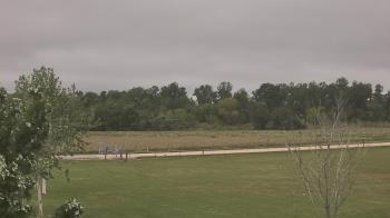 Weather camera view of Long Acres Ranch.