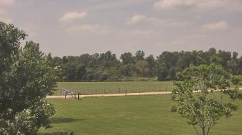 Weather camera view of Long Acres Ranch.