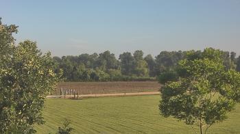 Weather camera view of Long Acres Ranch.