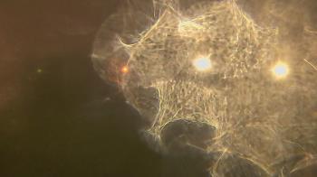 Weather camera view of Lutheran HS West.