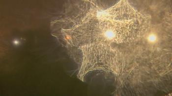 Weather camera view of Lutheran HS West.