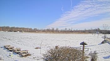 Weather camera view of Summit Road STEM Elementary.