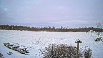 Weather camera view of Summit Road STEM Elementary.