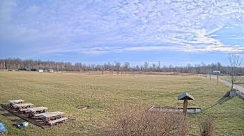 Weather camera view of Summit Road STEM Elementary.