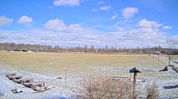 Weather camera view of Summit Road STEM Elementary.