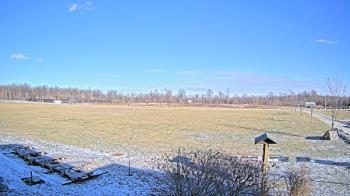 Weather camera view of Summit Road STEM Elementary.