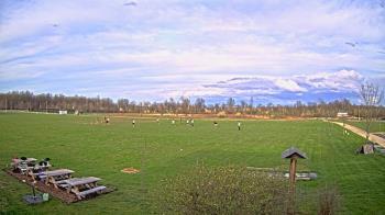 Weather camera view of Summit Road STEM Elementary.