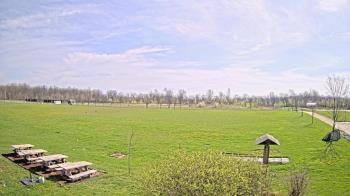 Weather camera view of Summit Road STEM Elementary.