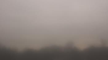 Weather camera view of Winston School.