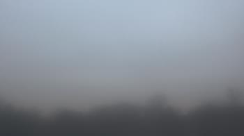 Weather camera view of Winston School.