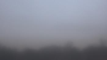 Weather camera view of Winston School.