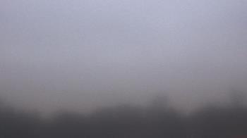 Weather camera view of Winston School.