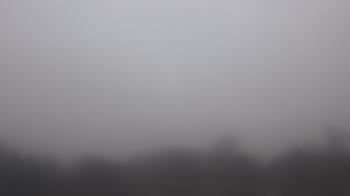 Weather camera view of Winston School.