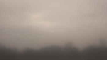 Weather camera view of Winston School.