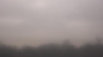 Weather camera view of Winston School.