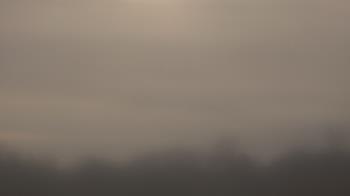 Weather camera view of Winston School.