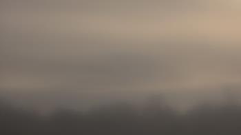 Weather camera view of Winston School.