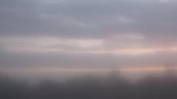 Weather camera view of Winston School.