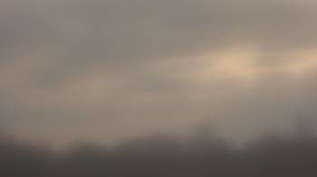 Weather camera view of Winston School.