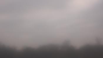 Weather camera view of Winston School.