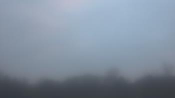 Weather camera view of Winston School.