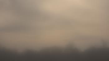 Weather camera view of Winston School.