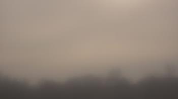 Weather camera view of Winston School.