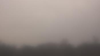 Weather camera view of Winston School.