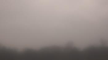 Weather camera view of Winston School.