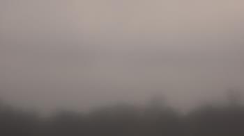 Weather camera view of Winston School.