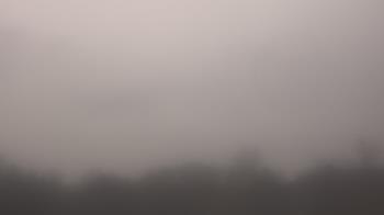 Weather camera view of Winston School.