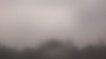 Weather camera view of Winston School.