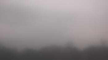 Weather camera view of Winston School.