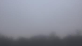 Weather camera view of Winston School.