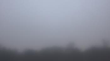 Weather camera view of Winston School.