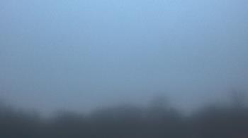 Weather camera view of Winston School.