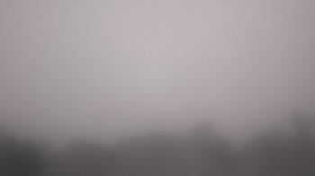 Weather camera view of Winston School.