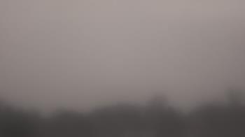 Weather camera view of Winston School.