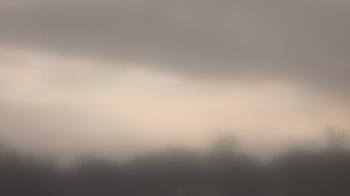 Weather camera view of Winston School.