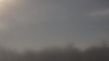 Weather camera view of Winston School.