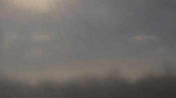 Weather camera view of Winston School.